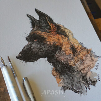 Pet Portrait Drawing Course Using Traditional Techniques *Pre-order